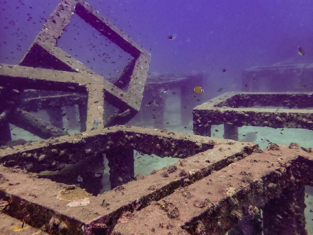 Artificial reef cubes